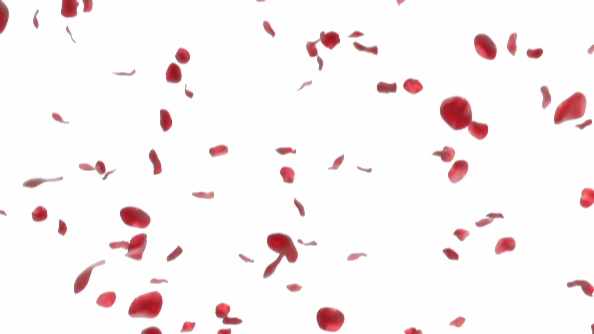 Falling Petals Png Hd - Falling Flowers Png (1920x1080), Png Download