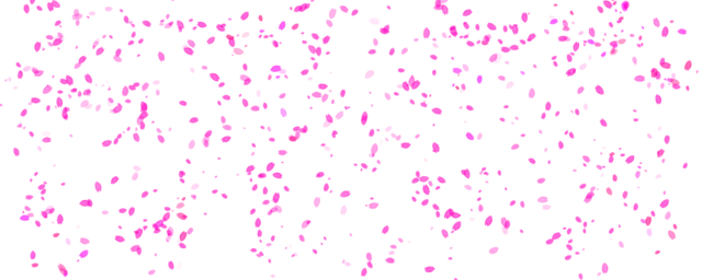 Petals - Pink Petals Png (640x256), Png Download