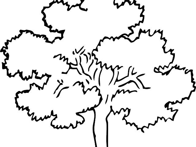 Dead Tree Clipart Old - Abenteuer Im Oak-park (640x480), Png Download