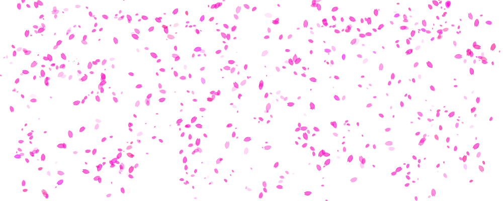 Pink Petals Png (1000x400), Png Download