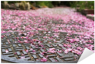 Falling Cherry Blossom Petals On The Sewer Lid - Sewerage (400x400), Png Download