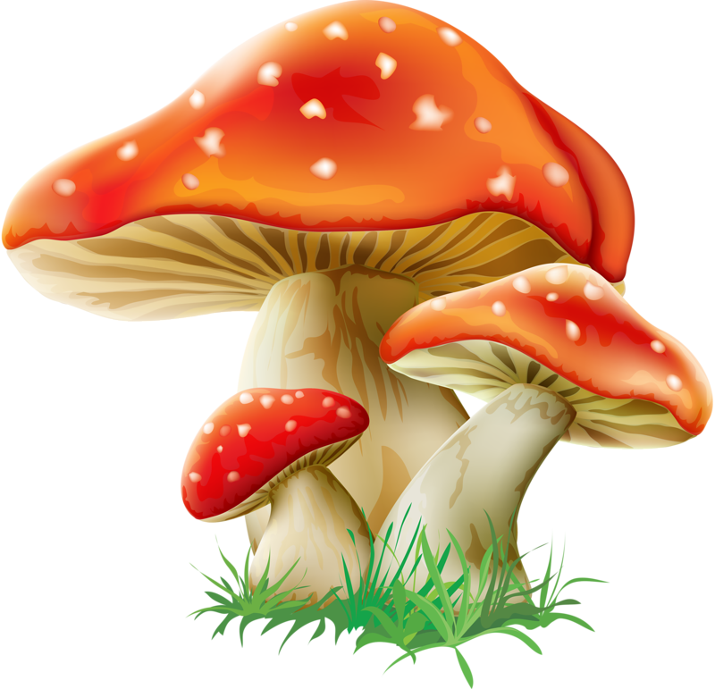 Graphic Freeuse Library Neon Drawing Mushroom - Hongos Caricatura (800x771), Png Download
