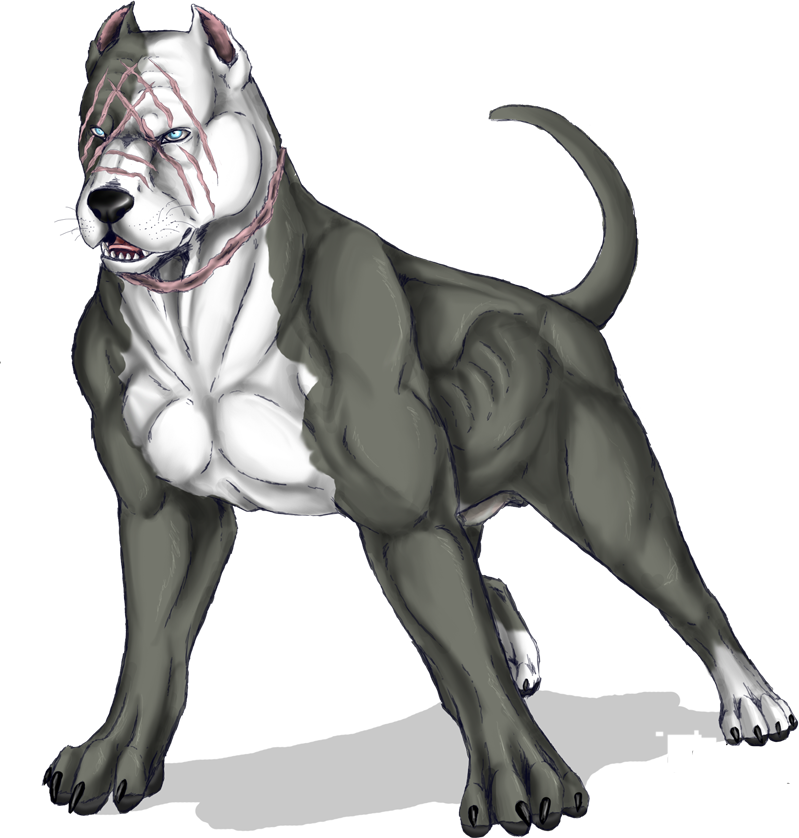 Swoosh - Pitbull Dog Drawing (799x838), Png Download
