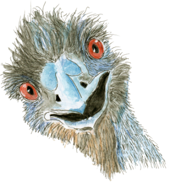 Black And White Library Credits Free Flight Emus Logo - Emu (342x366), Png Download