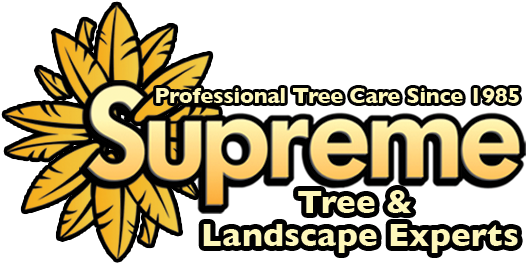 Online Scheduling - Illustration (547x271), Png Download