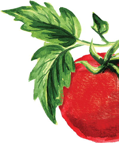 History - Illustration (402x480), Png Download