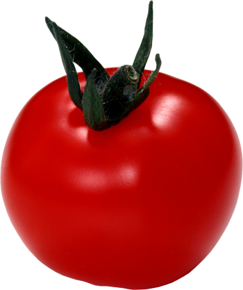 Cherry Tomato Clipart Transparent - Tomato (350x417), Png Download