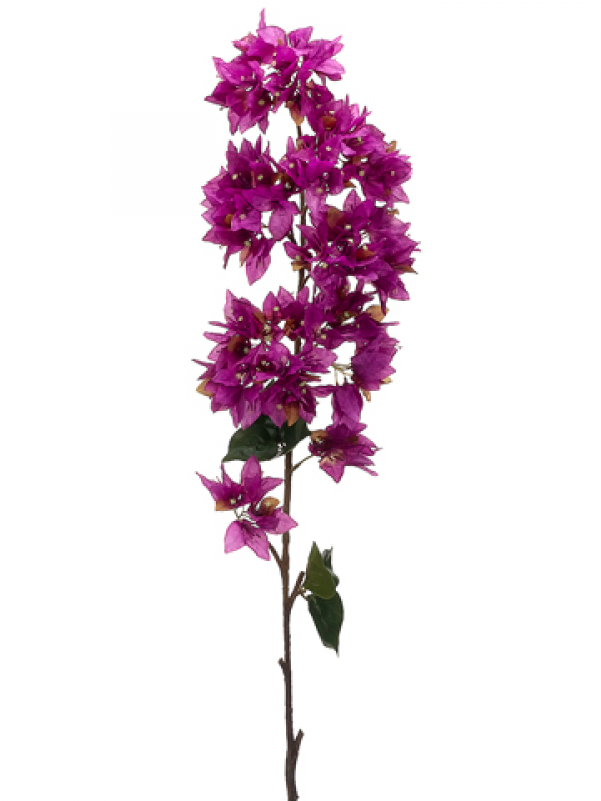 43" Bougainvillea Spray Orchid - Silk Plants Direct Bougainvillea Spray - Coral - Pack (800x800), Png Download
