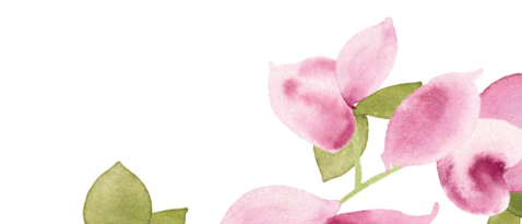 Bougainvillea Escort Card - Sweet Pea (480x308), Png Download