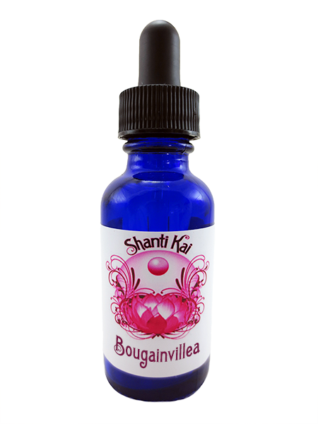 Bougainvillea Flower Essence - Flower (450x600), Png Download