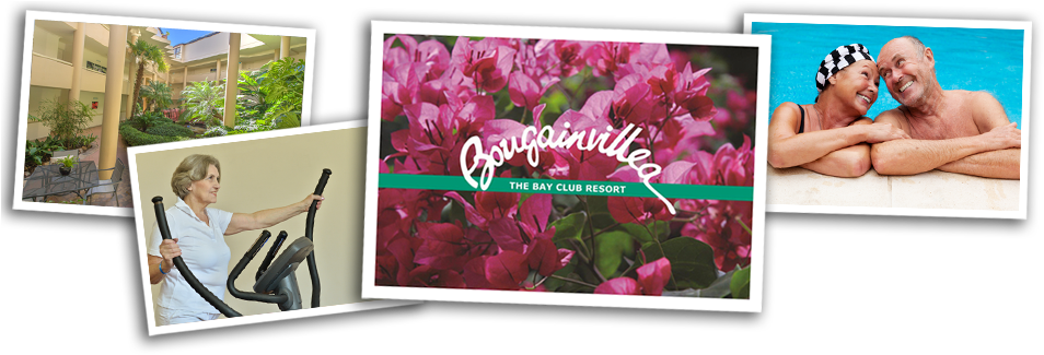 Independent Living Apartments Bougainvillea Serviced - Neutral Bay (960x326), Png Download