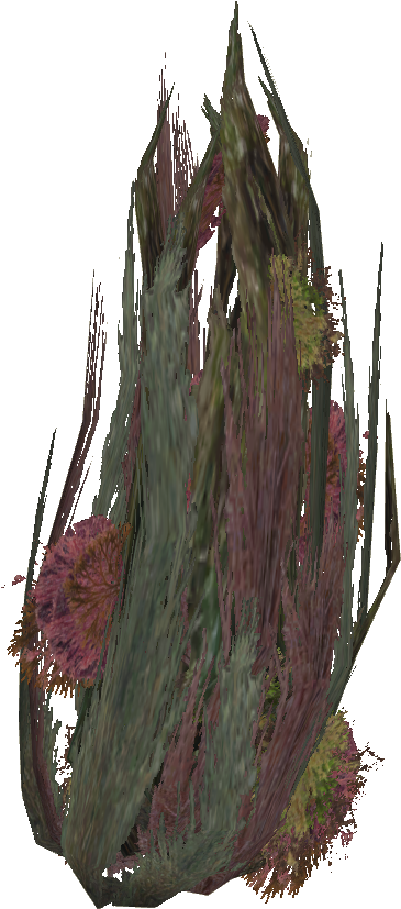 Large Seaweed - Cactus (826x826), Png Download