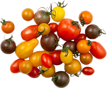 Artisan Series Tomatoes - Tomato (500x300), Png Download