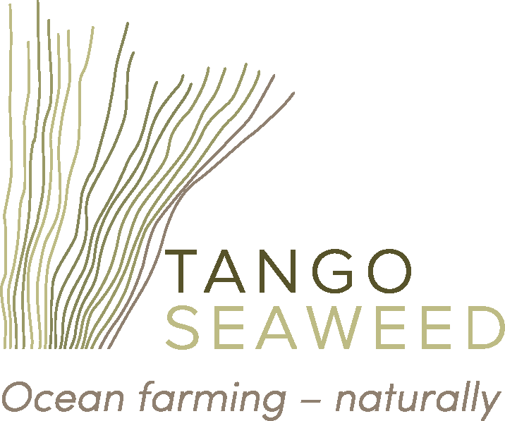 Tangos Seaweed Slagord - Seaweed (716x597), Png Download