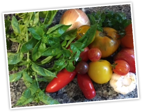 Tomatoes - Tomato (486x385), Png Download