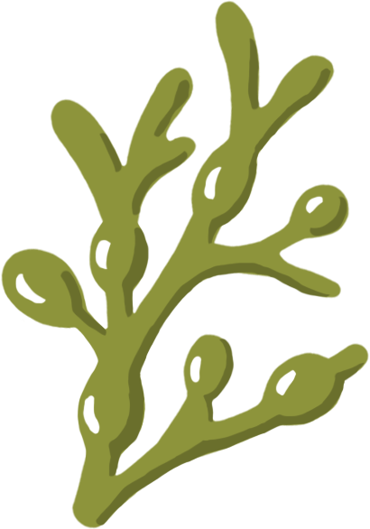 Kelpgreen - Portable Network Graphics (410x586), Png Download