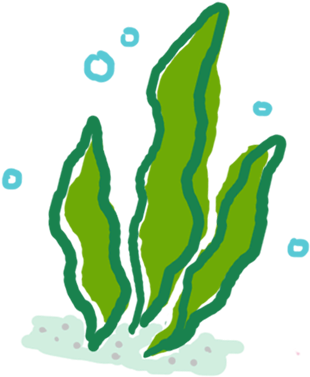 Seaweed (378x393), Png Download