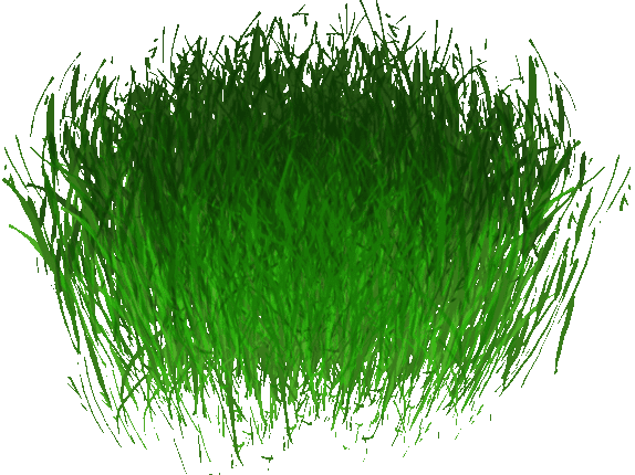 Seaweed Png - Portable Network Graphics (574x430), Png Download