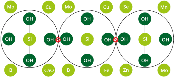 Siliforce Is A Range Of Different Formulations That - Circle (600x262), Png Download