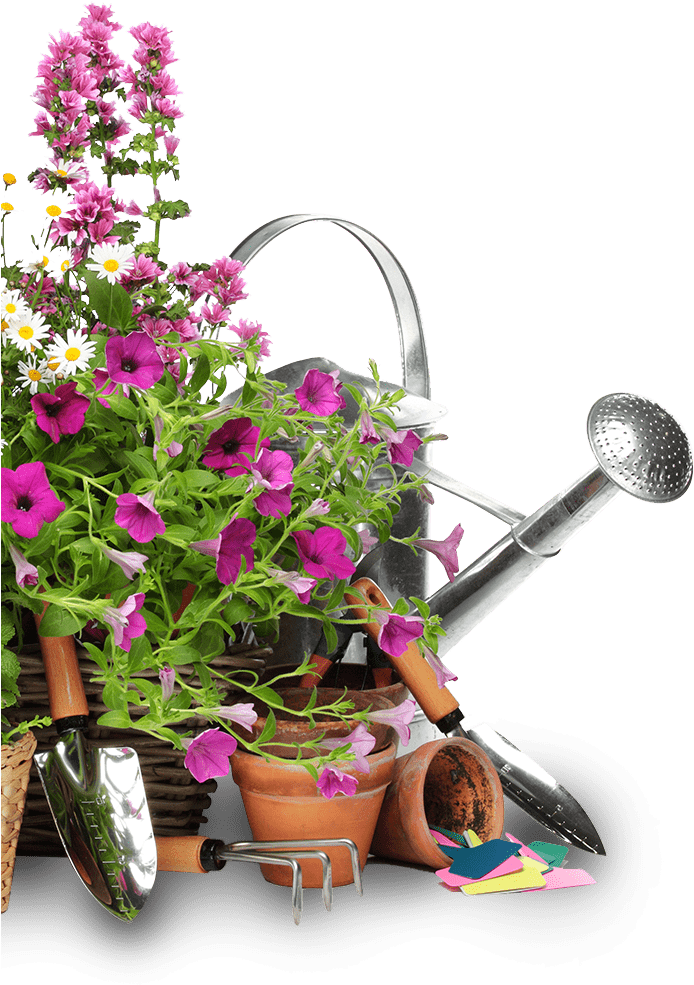 Flower-img - Evergreen Home And Garden Showplace (699x1042), Png Download