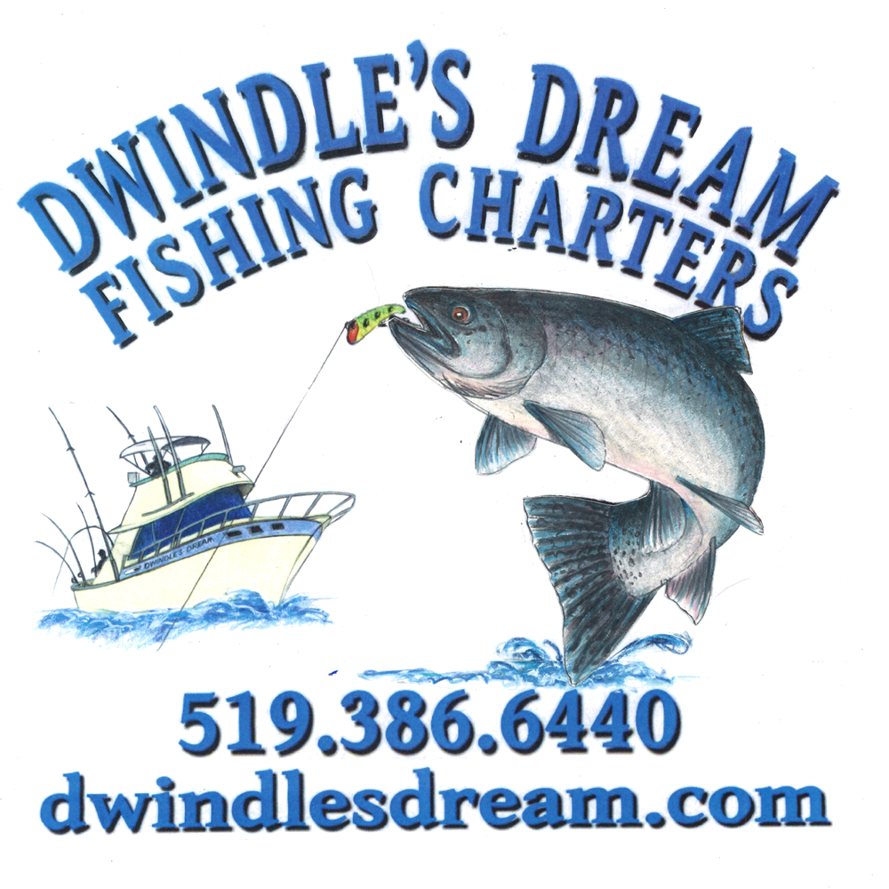 Pull Fish Out Of Water (1000x1000), Png Download