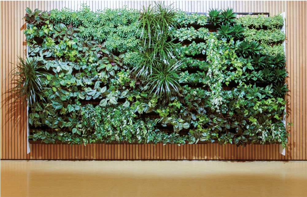 Nextgen 15 - Artificial Turf (1000x1000), Png Download