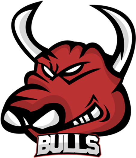 Bulls Png - Mascot Logo En Png (1024x576), Png Download
