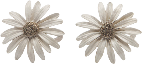 Daisy - African Daisy (600x600), Png Download