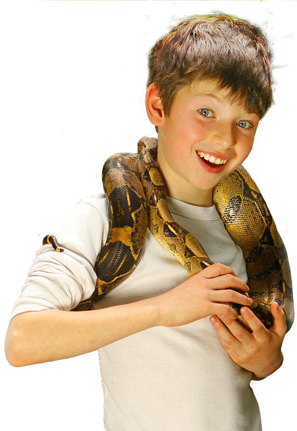 Bg Info Nino - Rock Python (600x872), Png Download