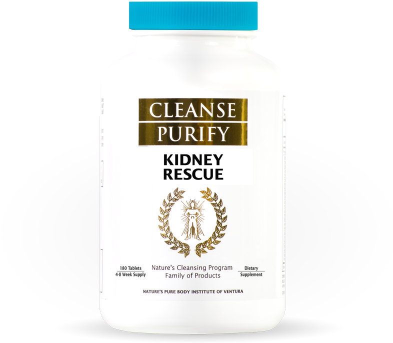 Kidney Rescue - Kidney (800x800), Png Download