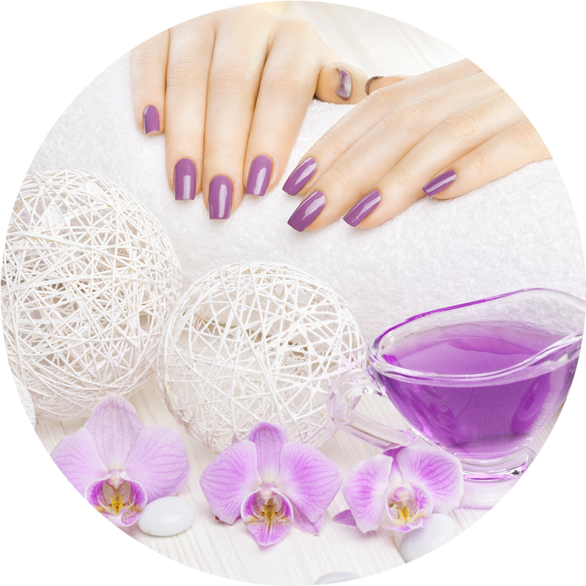 Moth Orchid (867x867), Png Download