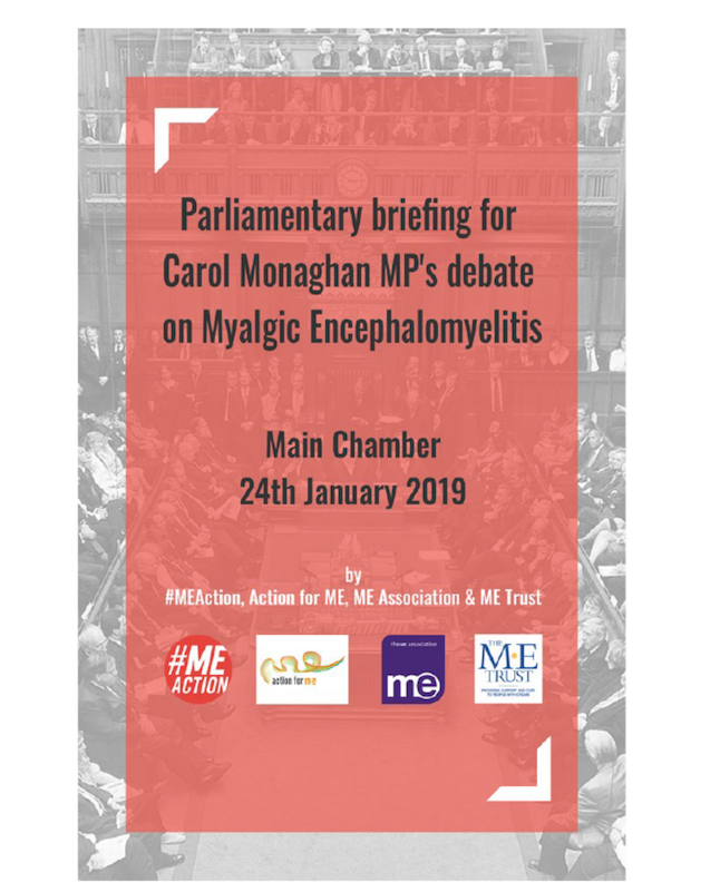 Invite Your Mp To Attend The House Of Commons Debate - Flyer (800x800), Png Download