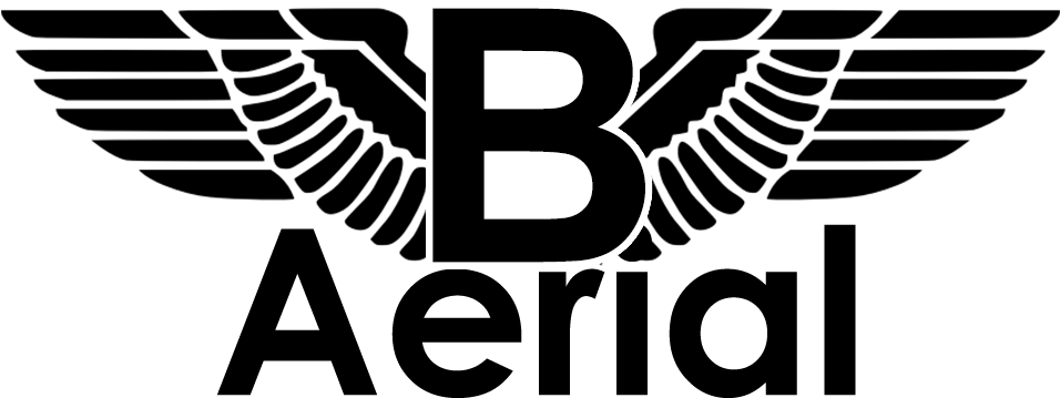 B-aerial Llc - Eagle Wings Logo Png (1030x520), Png Download
