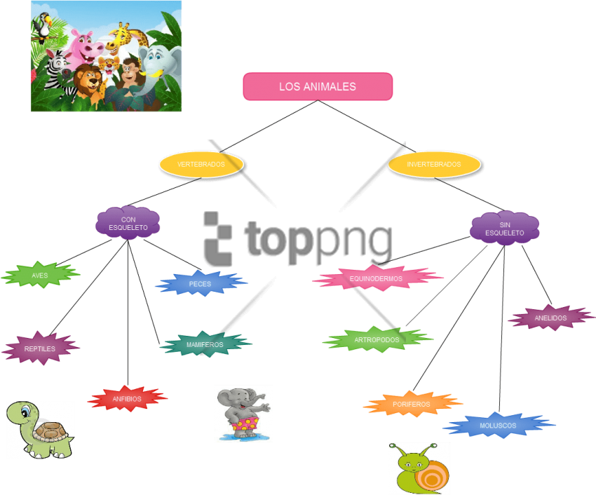 Free Png Elephant Animation Png Image With Transparent (850x706), Png Download