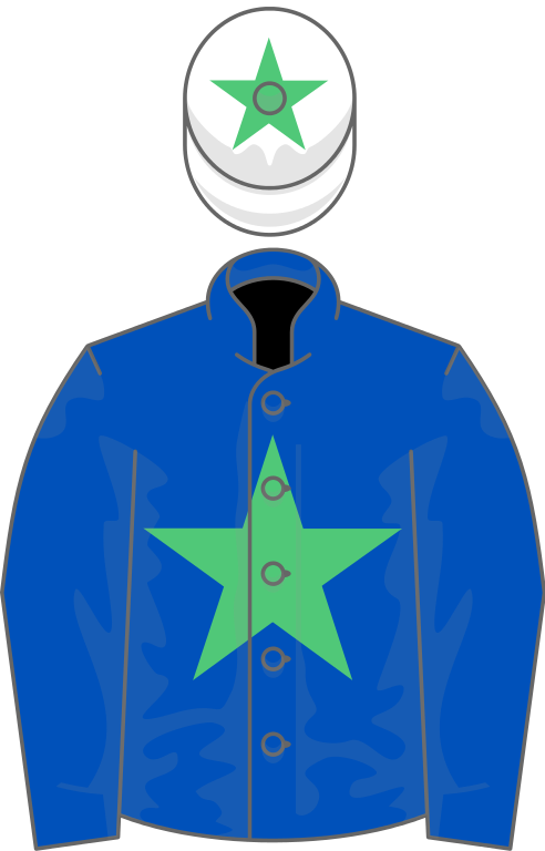 Owner Greenstar Syndicate - Horse Racing (492x768), Png Download