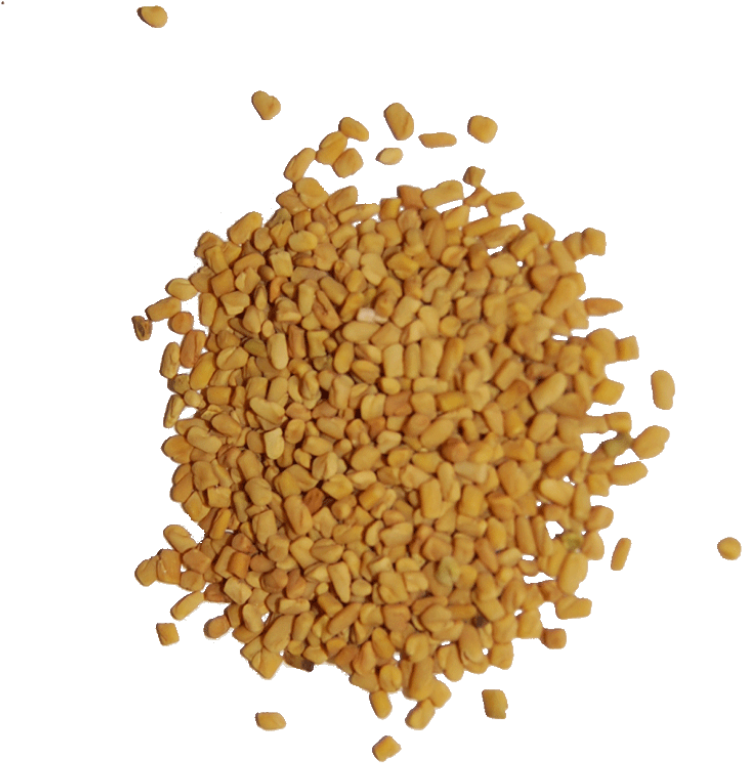 Fenugreek Seed - Fenugreek Seeds Png (1024x1024), Png Download