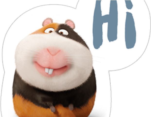 Pets Clipart Secret Life Pets - Guinea Pig Secret Life Of Pets (640x480), Png Download