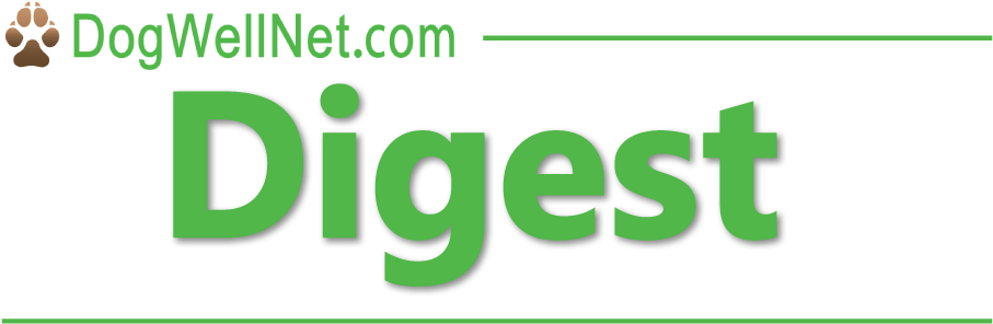 Issue - Brainforest Gabon (1000x567), Png Download