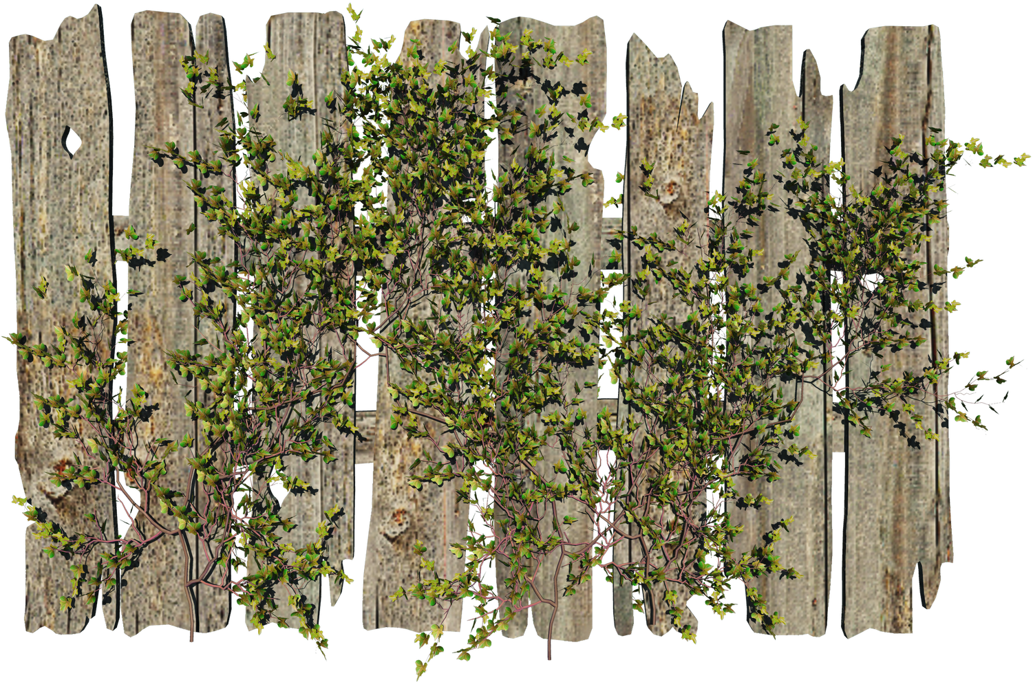 Old Wooden Fence Png - Flowers Fence Transparent Png (1600x1200), Png Download