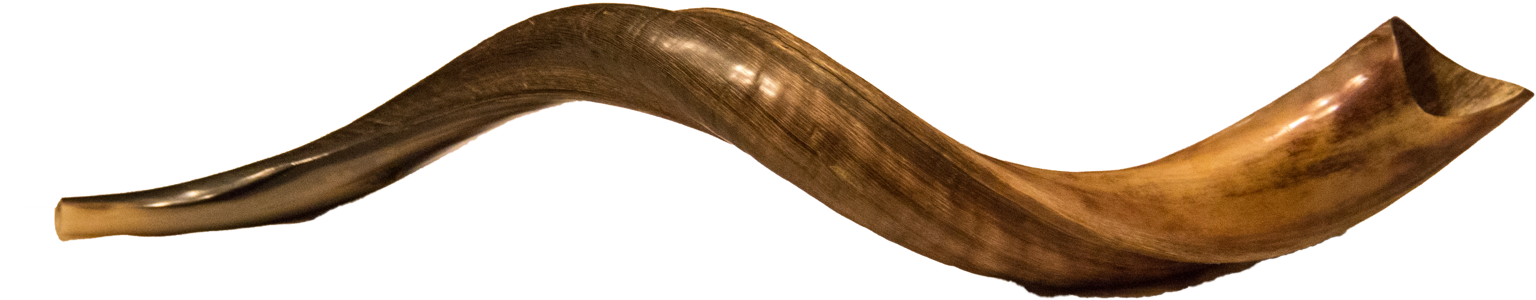 Shofar - Wood (5257x1366), Png Download