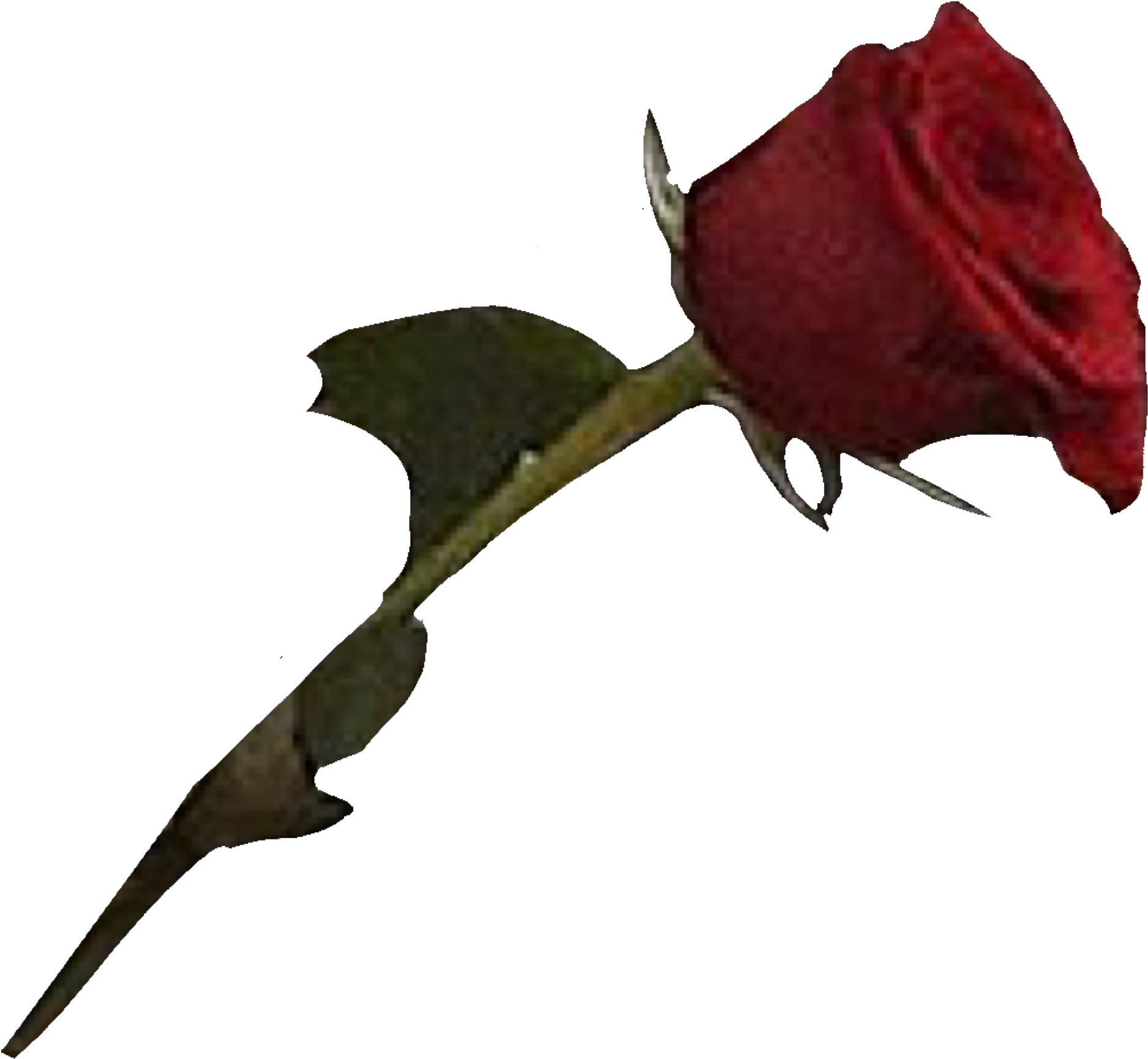 Áedpng They Make Moodboards Rose Blood Moon, Mood Boards, - Garden Roses (2048x1899), Png Download