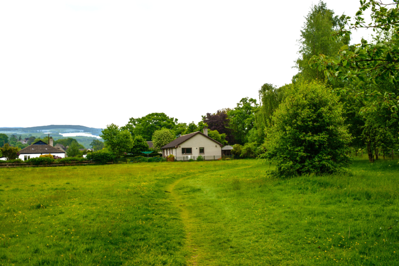 Suburb Lawn Grass Green Landscape Free Hq Image - Farm (800x534), Png Download