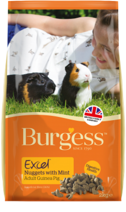 Supa Guinea Pig Excel - Burgess Excel Guinea Pig Nuggets (850x850), Png Download