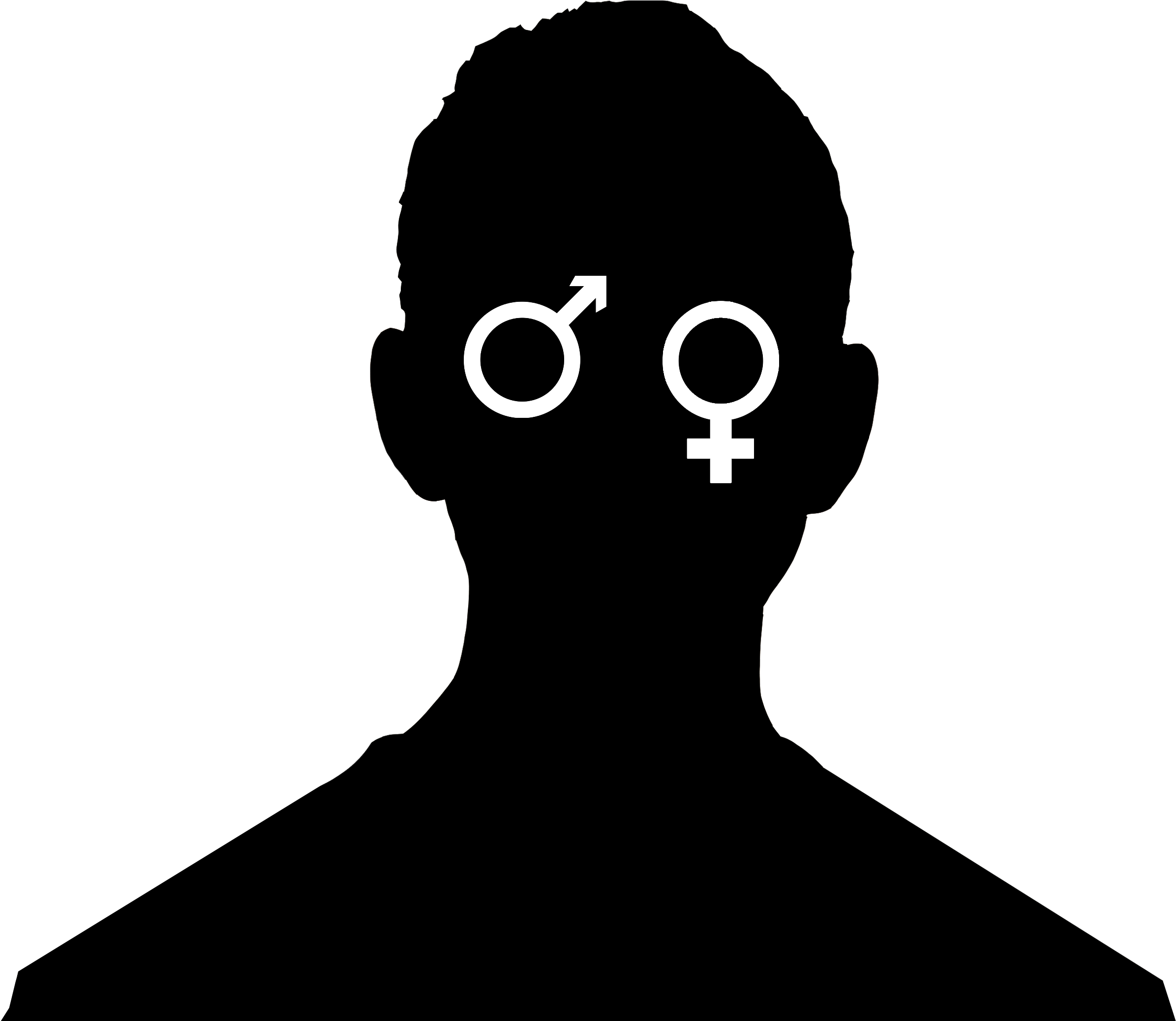 Should Transgender Students Be Allowed To Use The Restroom - Transgender Silhouette (2568x2136), Png Download