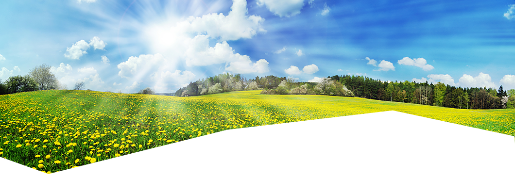 Meadow With Sun (1060x365), Png Download