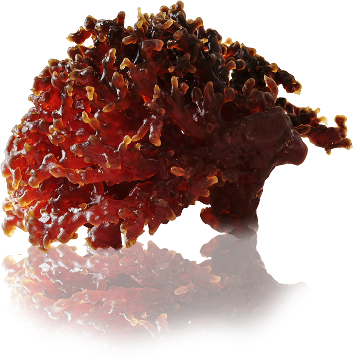 Crystal (830x800), Png Download