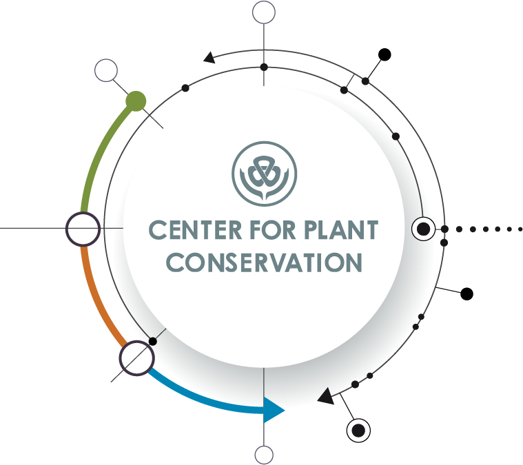 Nucleus - Circle (759x675), Png Download