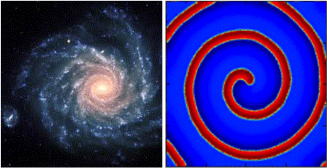 Spiral Galaxy Ngc 1232 [credit - Spiral Galaxy (676x872), Png Download