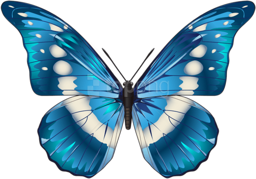 Free Png Butterfly Blue Png Images Transparent - Transparent Background Butterfly Clipart (850x594), Png Download