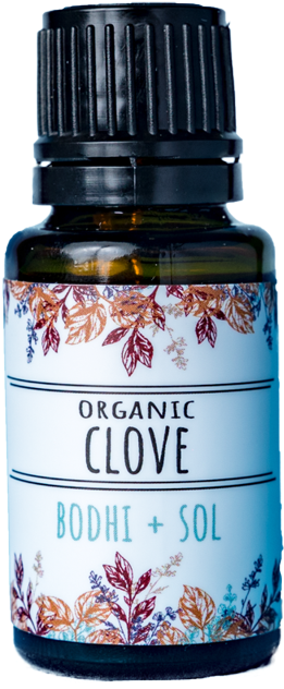 Blossom (640x640), Png Download